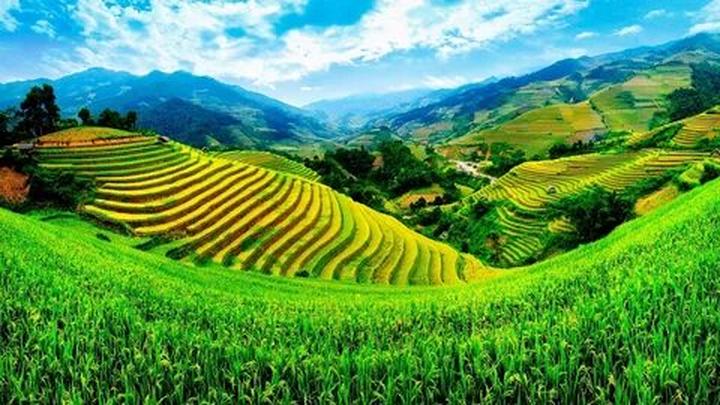 Hotspot Matrix và việc ôm con