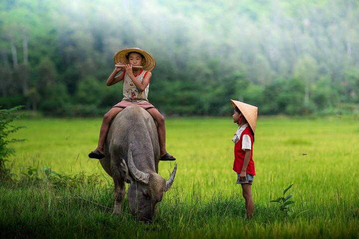 Xu hướng 2 nàng dâu hào môn hot nhất: Hotspot Matrix tiết lộ bí quyết video viral
