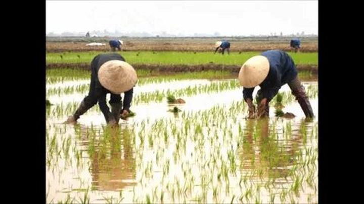 Làm Video Ngắn – Vừa Sáng Tạo, Vừa Kiếm Tiền Với Công Cụ Hữu Ích